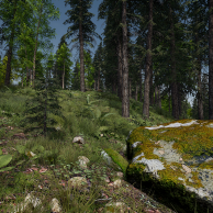 Virtueller Wald auf dem Isenberg