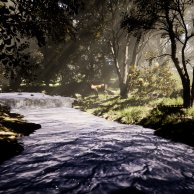 Virtueller Wald